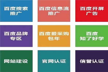 SEM推广公司案例：助力企业实现品牌价值提升